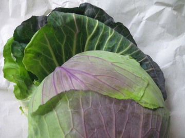 Cabbage3