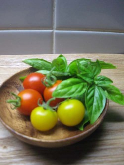 Garden_tomatoes